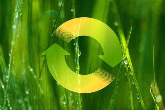 Fundación Biodiversidad convoca becas de formación.
